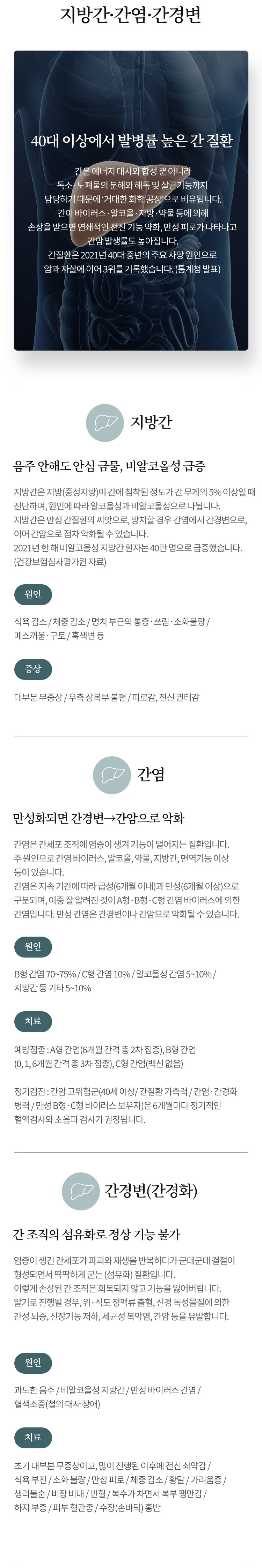 지방간·간염·간경변